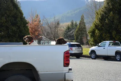 DSC_0856 (Large).JPG